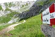 18 Seniero dei fiori 'alto' 244 fino al Passo di Corna Piana